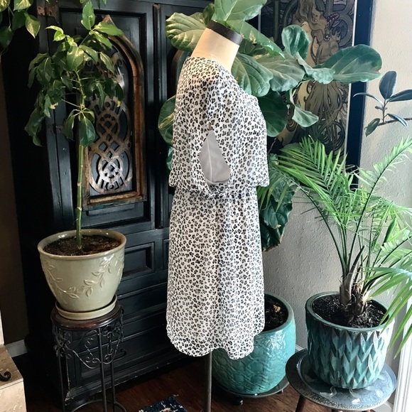 ASOS - Needle & Thread Francesca leopard chiffon - Picture 4 of 8